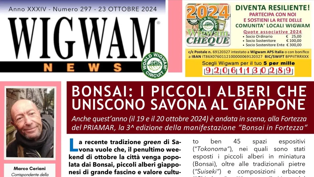 Bonsai: i piccoli alberi che uniscono Savona al Giappone