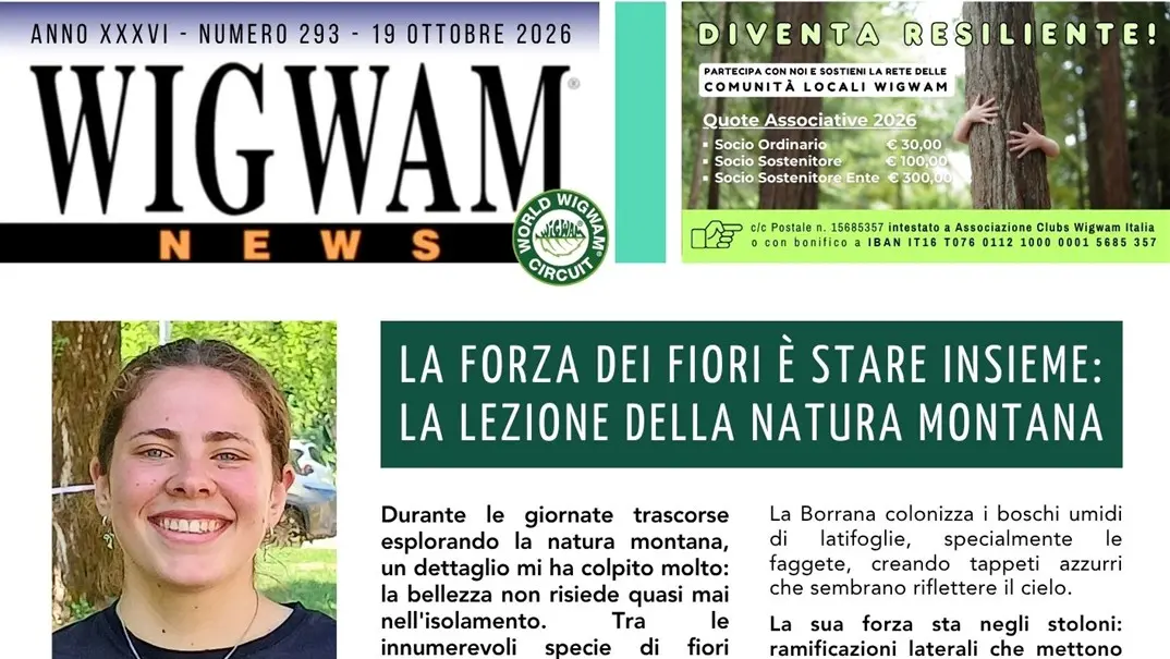 La forza dei fiori è stare insieme: la lezione della natura montana